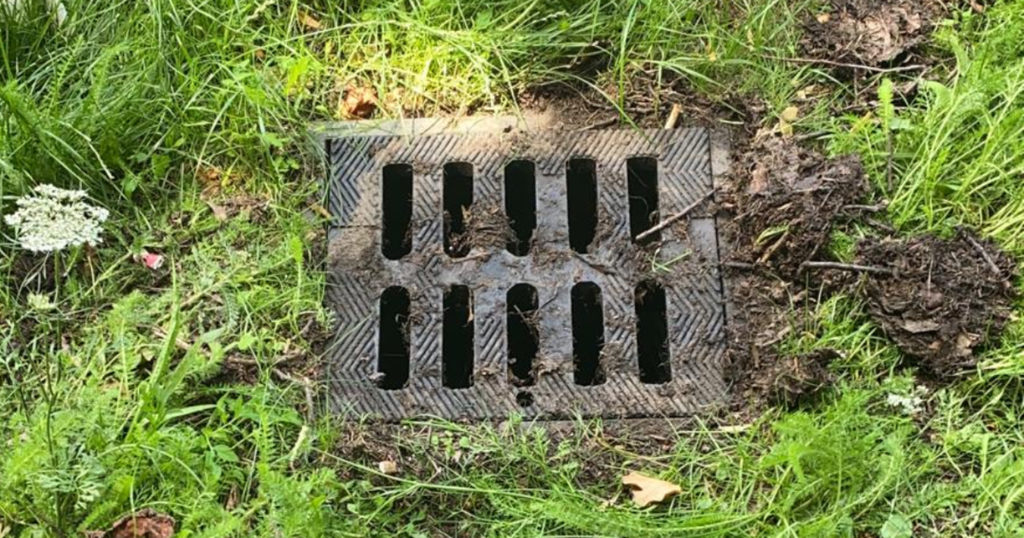 An image of a blocked gully grate.